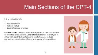 What are CPT Codes and HCPCS Codes MedicalAssistant MedicalAssisting [upl. by Airrat]