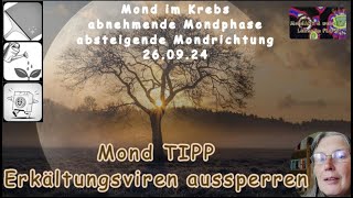 Mond TIPP für die Gesundheit  Erkältungsviren aussperren [upl. by Appleby]