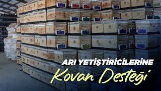 Arı yetiştiricilerine kovan desteği [upl. by Nahsyar]