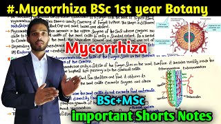 What is Mycorrhiza  BSc first year Botany 1st Semester  Types of mycorrhiza  mycorrhiza notes [upl. by Adlog597]