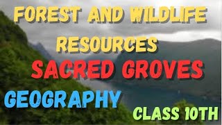 FOREST AND WILDLIFE RESOURCES CLASS 10 GEO CH 2  SACRED GROVES  NCERT [upl. by Eybbob]