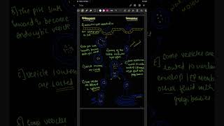 Endocytosis and exocytosis flow chartneet2025 endocytosis plasmamembranemusic song youtube [upl. by Aseen]