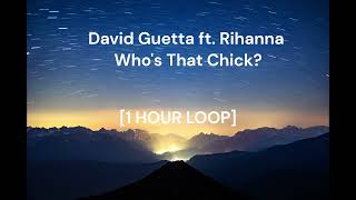 David Guetta ft Rihanna  Whos That Chick 1 HOUR LOOP [upl. by Nnaaras]