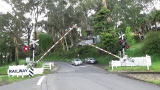 Long Pockitt Lane Level Crossing Selby [upl. by Ardek]