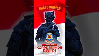 HUT Korps Brimob hutbrimob brimob brimoblovers [upl. by Sillek]