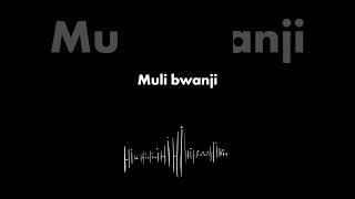 How to say Hi in Nyanja Muli Bwanji [upl. by Nekcarb]