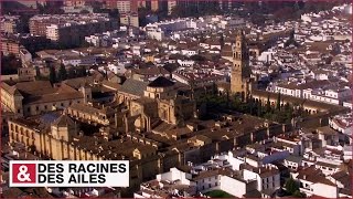 La mosquéecathédrale de Cordoue [upl. by Adnoral444]