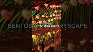 Places to Visit in Singapore  Sentosa Island Tourist Spots  Sentosa Sensoryscape singaporetravel [upl. by Sivolc]