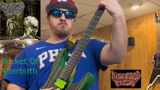 Digested Flesh  Bucket of Afterbirth Guitar Cover [upl. by Tilly]