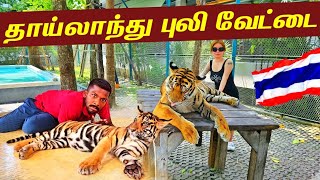 தாய்லாந்து காட்டில் புலி வேட்டை🐅  Thailand Tiger Village🇹🇭  Jaffna Suthan [upl. by Tnirb736]