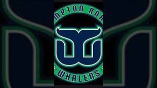 Hampton roads whalers custom horn [upl. by Ecnarwal]