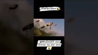 কি অদ্ভুত নিয়ম।🥹বইতে তো অনেক পড়েছো এবার স্বচক্ষে দেখো✅experiment trending [upl. by Gnilsia]