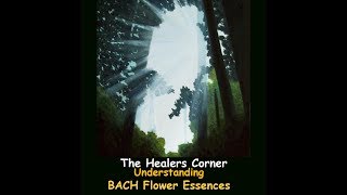 Understanding BACH FLOWER ESSENCES [upl. by Abbi655]