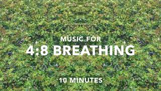 48 Breathing Music  10 Minutes [upl. by Eladnwahs]