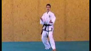 ITF TaekwonDo Patterns 9 of 14 ToiGae [upl. by Atinid608]