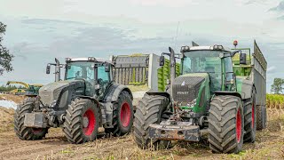 Dzikie Fendty Na Rejonie Kukurydza Na Kiszonkę 2020 w Starym Stylu 3xFendt Kubota Krone NH [upl. by Mosa]