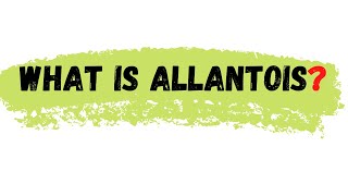 Allantois  what is allantois  allantois defination [upl. by Aala]