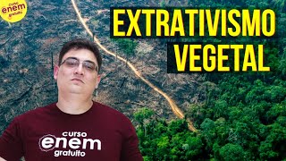 EXTRATIVISMO VEGETAL NO BRASIL  Resumo de Geografia para o Enem [upl. by Anomahs303]