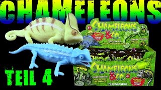 DeAgostini ® Chameleons amp Co  Chamäleons Display Unboxing  Teil 4 [upl. by Ainesell]