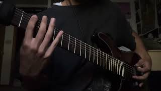 Embryectomy  “Prostitute Skullcap Pulverizer” Guitar Cover [upl. by Mikah]