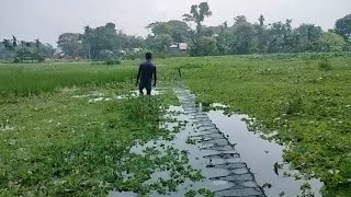 Village Reservoir Fishing Video  2024 fishing video [upl. by Learsiy957]