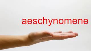 How to Pronounce aeschynomene  American English [upl. by Moth491]