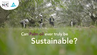 The Palm Oil Issue  🌴 Experiences from REPeat 2024 Participants [upl. by Newcomer740]