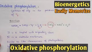 Oxidative Phosphorylation vs Photosynthesis [upl. by Adala]