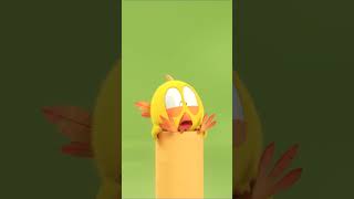 a little climbing Shorts chicky  Chicky Cartoon in English for Kids [upl. by Emmer134]