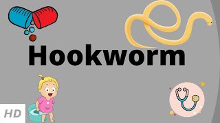 Hookworm Causes Signs and Symptoms Diagnosis and Treatment [upl. by Nena843]