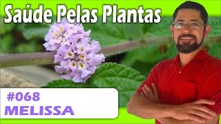 Saúde Pelas Plantas  Melissa calmante rejuvenecedor úlceras catarro cólicas [upl. by Francis644]