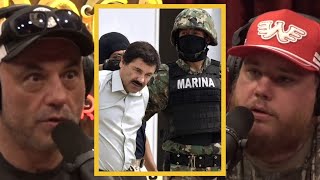 JRE How DANGEROUS Are Mexican Cartels [upl. by Zoa]