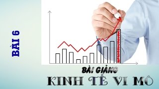 Kinh tế vi mô  Lý thuyết sản xuất và chi phí [upl. by Naejamron]