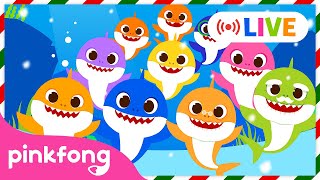 🔴 LIVE 🏆TOP Baby Shark Dance Songs  Winter Baby Shark  Doo Doo Doo  Pinkfong Live [upl. by Asilej]