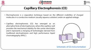 Capillary electrophoresis laserinduced fluorescence detection CELIF [upl. by Kress695]