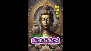 DẤU HIỆU ĐÃ GIÁC NGỘ [upl. by Noemi]