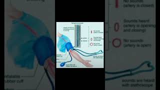 Sphygmomanometermedicalnursingnursingstudentbpshortvideo [upl. by Rise]