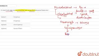 In mammals egg are microlecithal and isolecithal because these are [upl. by Yedrahs227]