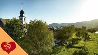 Brauneberg an der Mosel  Unterwegs im Ferienland BernkastelKues [upl. by Htezzil42]