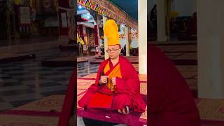 Geshe Damcha Ceremony At Drepung Lachi monk buddhist peace [upl. by Lally63]