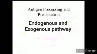 Antigen processing and presentation  Bg 6th semester Zoology Ladakh university Immunology [upl. by Naillil107]