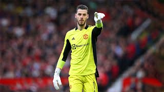 De Gea  Man United Savior [upl. by Dammahom]