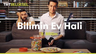 Bilimin Ev Hali  Beynimiz Nasıl Algılar  TRT Belgesel [upl. by Cappella]