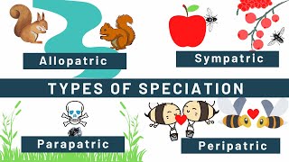 Speciation Allopatric Sympatric Peripatric Parapatric Types of speciation Examples [upl. by Inohs]