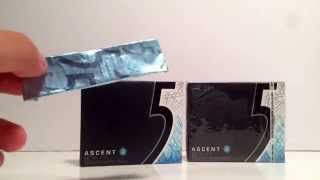 New 5 Ascent Winter Mint Flavoured Gum Review 4 [upl. by Pollyanna]