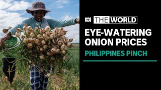 Onions put Philippines in a stew over food price inflation  The World [upl. by Oranneg]