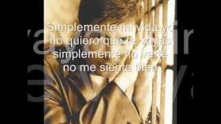 SIMPLEMENTE  CHAYANNE  letra [upl. by Euqinomahs]