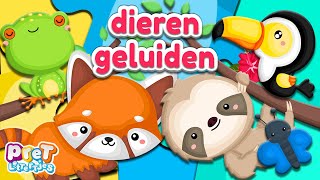 Wie Staat er Op de Puzzel • Pretlettertjes Dierengeluiden Puzzels nr3 [upl. by Frere896]