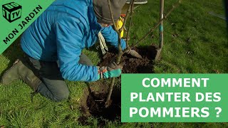 Comment planter un pommier   Mon jardin [upl. by Ganley]