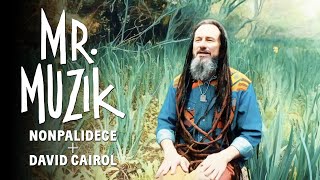 Mr Muzik  Nonpalidece  David Cairol videoclip oficial [upl. by Haas710]